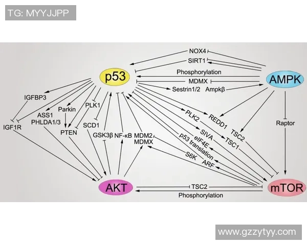 吴敏独家分享排球心得与技巧提升之道助你成为排球高手