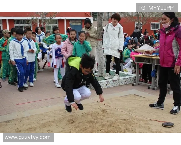 张磊的排球人生深度对话探索运动背后的坚持与梦想