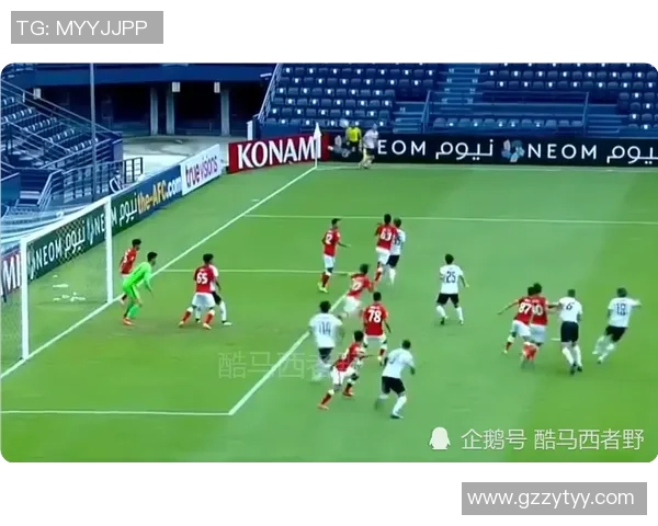 广州排球队阵地战革新之路探索与实践的深度剖析