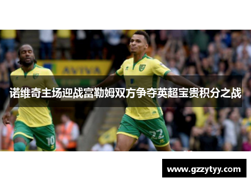 诺维奇主场迎战富勒姆双方争夺英超宝贵积分之战
